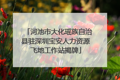 河池市大化瑶族自治县驻深圳宝安人力资源飞地工作站揭牌