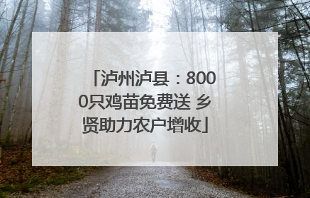 泸州泸县：8000只鸡苗免费送 乡贤助力农户增收