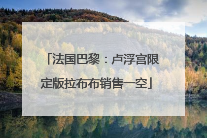 法国巴黎：卢浮宫限定版拉布布销售一空