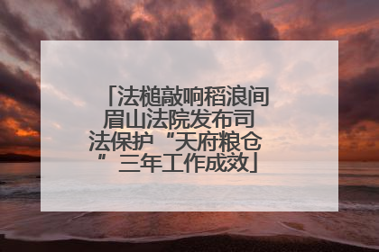 法槌敲响稻浪间 眉山法院发布司法保护“天府粮仓”三年工作成效