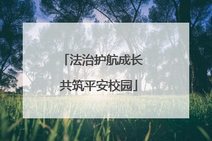 法治护航成长 共筑平安校园