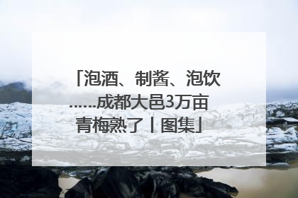 泡酒、制酱、泡饮……成都大邑3万亩青梅熟了丨图集