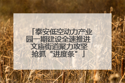 泰安低空动力产业园一期建设全速推进 文庙街道聚力攻坚抢抓“进度条”