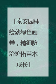 泰安园林绘就绿色画卷，精细防治护佑苗木成长
