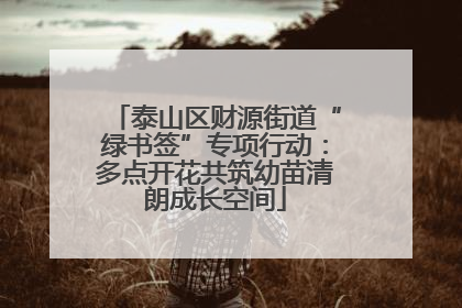 泰山区财源街道“绿书签”专项行动：多点开花共筑幼苗清朗成长空间