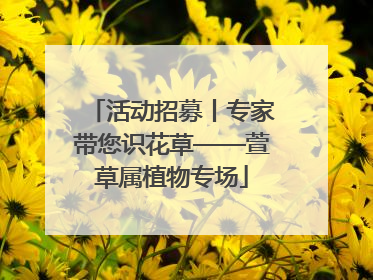 活动招募丨专家带您识花草——萱草属植物专场