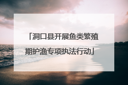洞口县开展鱼类繁殖期护渔专项执法行动