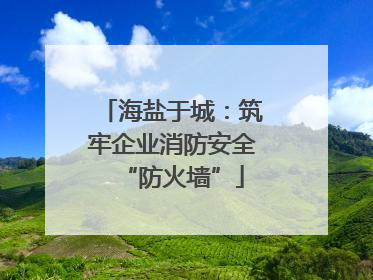 海盐于城：筑牢企业消防安全“防火墙”