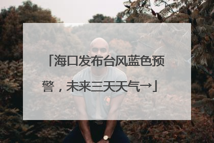 海口发布台风蓝色预警，未来三天天气→