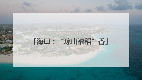海口：“琼山福稻”香