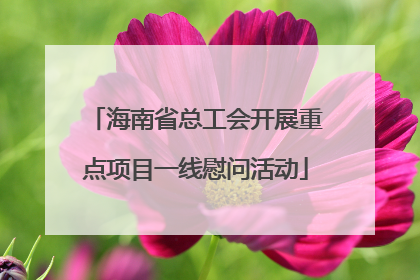 海南省总工会开展重点项目一线慰问活动