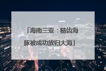 海南三亚：糙齿海豚被成功放归大海