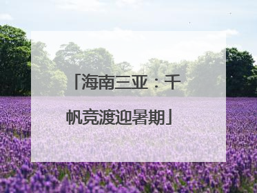 海南三亚：千帆竞渡迎暑期