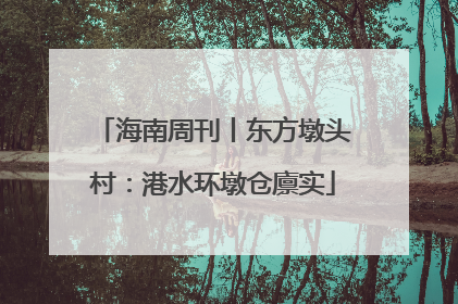 海南周刊丨东方墩头村：港水环墩仓廪实