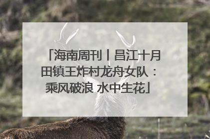 海南周刊丨昌江十月田镇王炸村龙舟女队：乘风破浪 水中生花