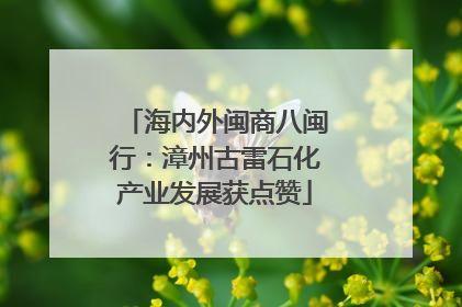 海内外闽商八闽行：漳州古雷石化产业发展获点赞