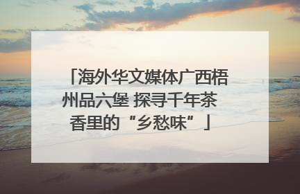 海外华文媒体广西梧州品六堡 探寻千年茶香里的“乡愁味”