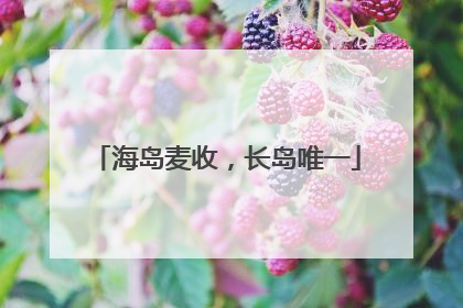 海岛麦收，长岛唯一