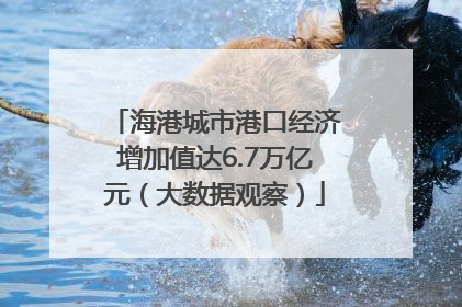 海港城市港口经济增加值达6.7万亿元（大数据观察）