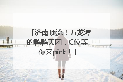 济南顶流！五龙潭的鸭鸭天团，C位等你来pick！