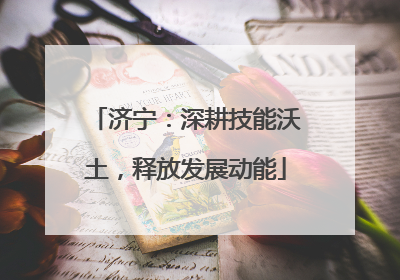 济宁：深耕技能沃土，释放发展动能