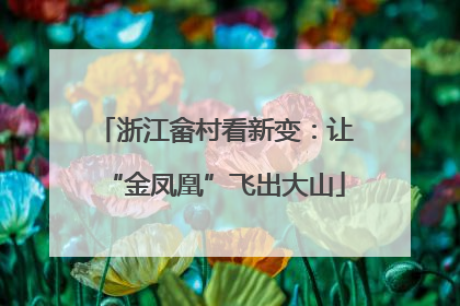 浙江畲村看新变：让“金凤凰”飞出大山