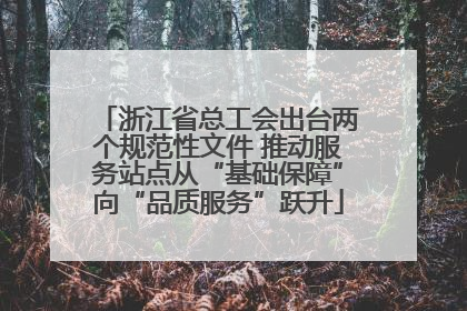 浙江省总工会出台两个规范性文件 推动服务站点从“基础保障”向“品质服务”跃升