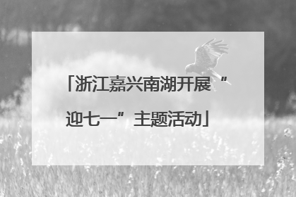 浙江嘉兴南湖开展“迎七一”主题活动