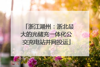 浙江湖州：浙北最大的光储充一体化公交充电站并网投运
