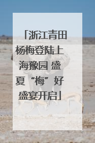 浙江青田杨梅登陆上海豫园 盛夏“梅”好盛宴开启
