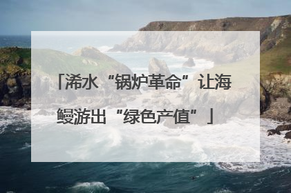 浠水“锅炉革命”让海鳗游出“绿色产值”