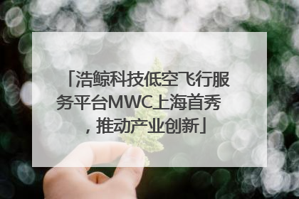 浩鲸科技低空飞行服务平台MWC上海首秀，推动产业创新