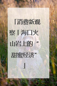 消费新观察丨海口火山岩上的“甜蜜经济”