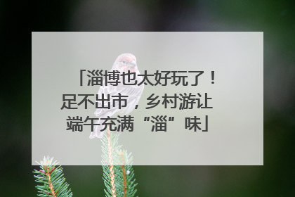 淄博也太好玩了！足不出市，乡村游让端午充满“淄”味