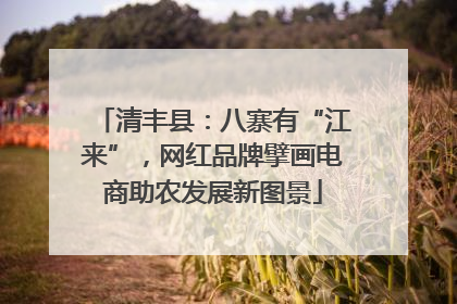 清丰县：八寨有“江来”，网红品牌擘画电商助农发展新图景