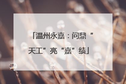 温州永嘉：问鼎“天工”亮“嘉”绩