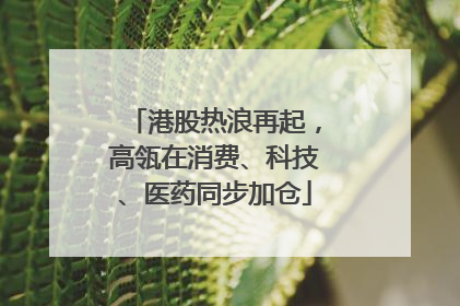 港股热浪再起，高瓴在消费、科技、医药同步加仓
