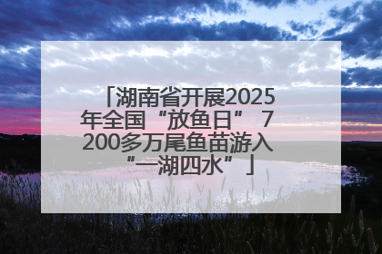湖南省开展2025年全国“放鱼日” 7200多万尾鱼苗游入“一湖四水”
