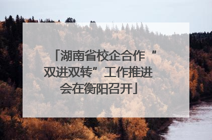 湖南省校企合作“双进双转”工作推进会在衡阳召开