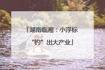 湖南临湘：小浮标“钓”出大产业