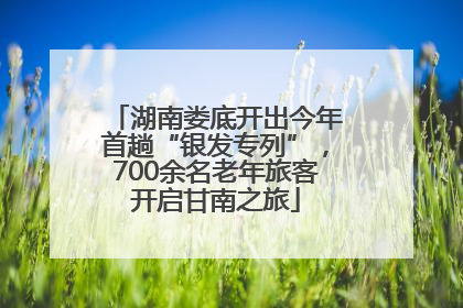 湖南娄底开出今年首趟“银发专列”，700余名老年旅客开启甘南之旅