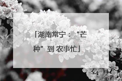 湖南常宁：“芒种”到 农事忙