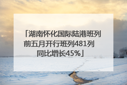 湖南怀化国际陆港班列前五月开行班列481列 同比增长45%