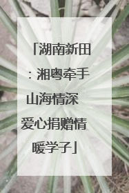 湖南新田：湘粤牵手山海情深 爱心捐赠情暖学子