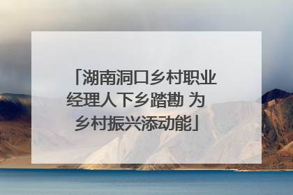 湖南洞口乡村职业经理人下乡踏勘 为乡村振兴添动能