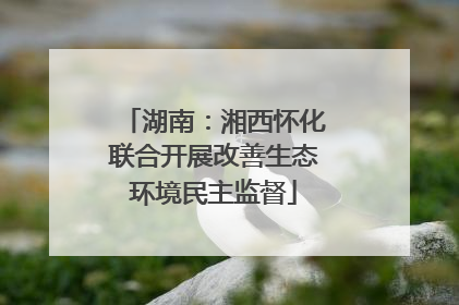 湖南：湘西怀化联合开展改善生态环境民主监督