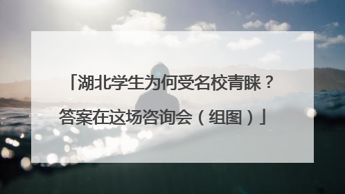 湖北学生为何受名校青睐？答案在这场咨询会（组图）