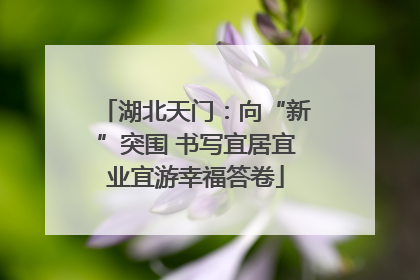 湖北天门：向“新”突围 书写宜居宜业宜游幸福答卷