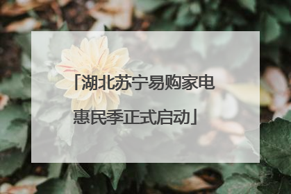湖北苏宁易购家电惠民季正式启动