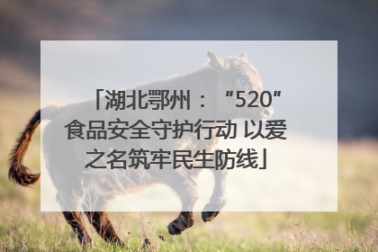 湖北鄂州：“520”食品安全守护行动 以爱之名筑牢民生防线